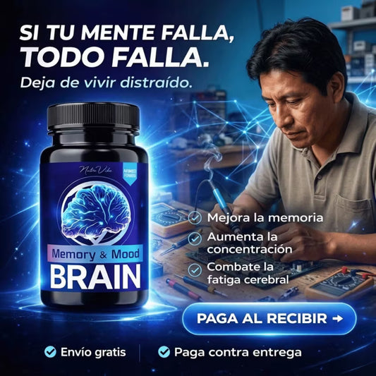 Brain