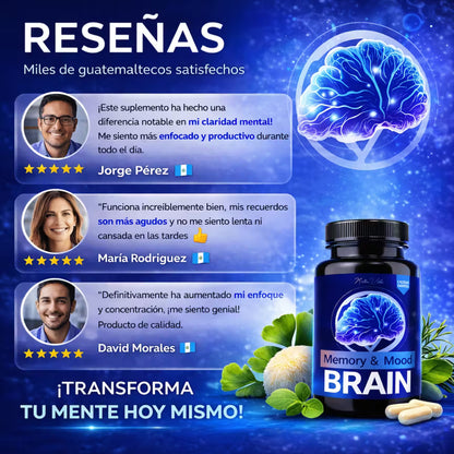 Brain